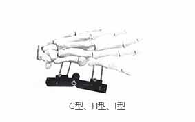 HM-10900掌骨、指骨系列
