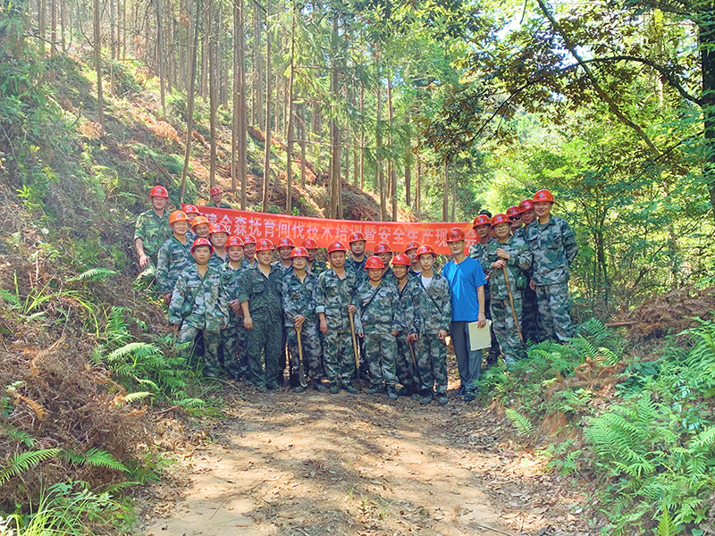 嚴(yán)把森林培育質(zhì)量關(guān)，譜寫資源培育新篇章