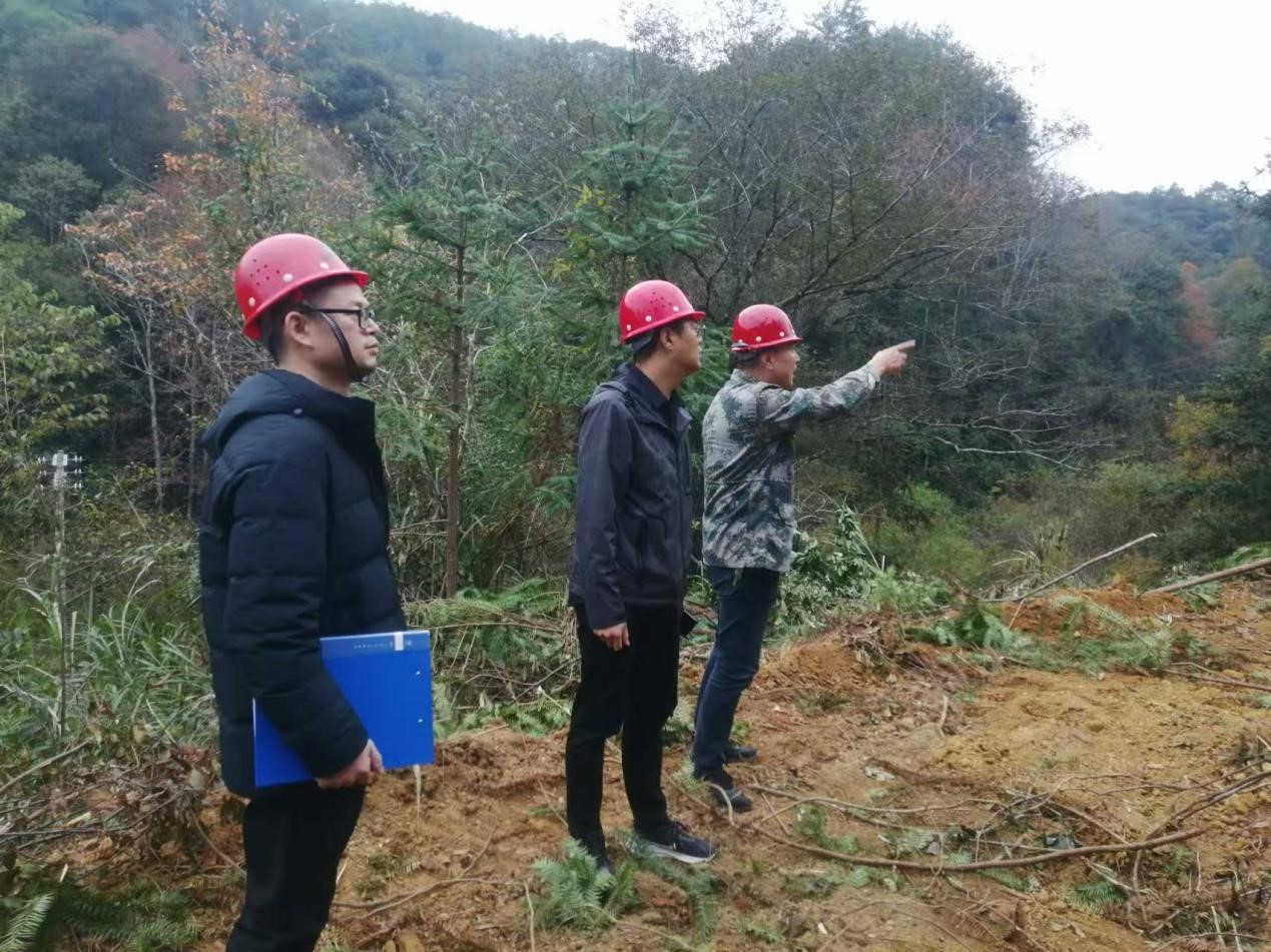 全面強化安全責任，嚴守森林防火線——福建金森全力保障生產安全