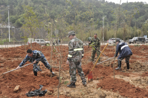 陽(yáng)春三月雨，正是植樹好時(shí)節(jié)