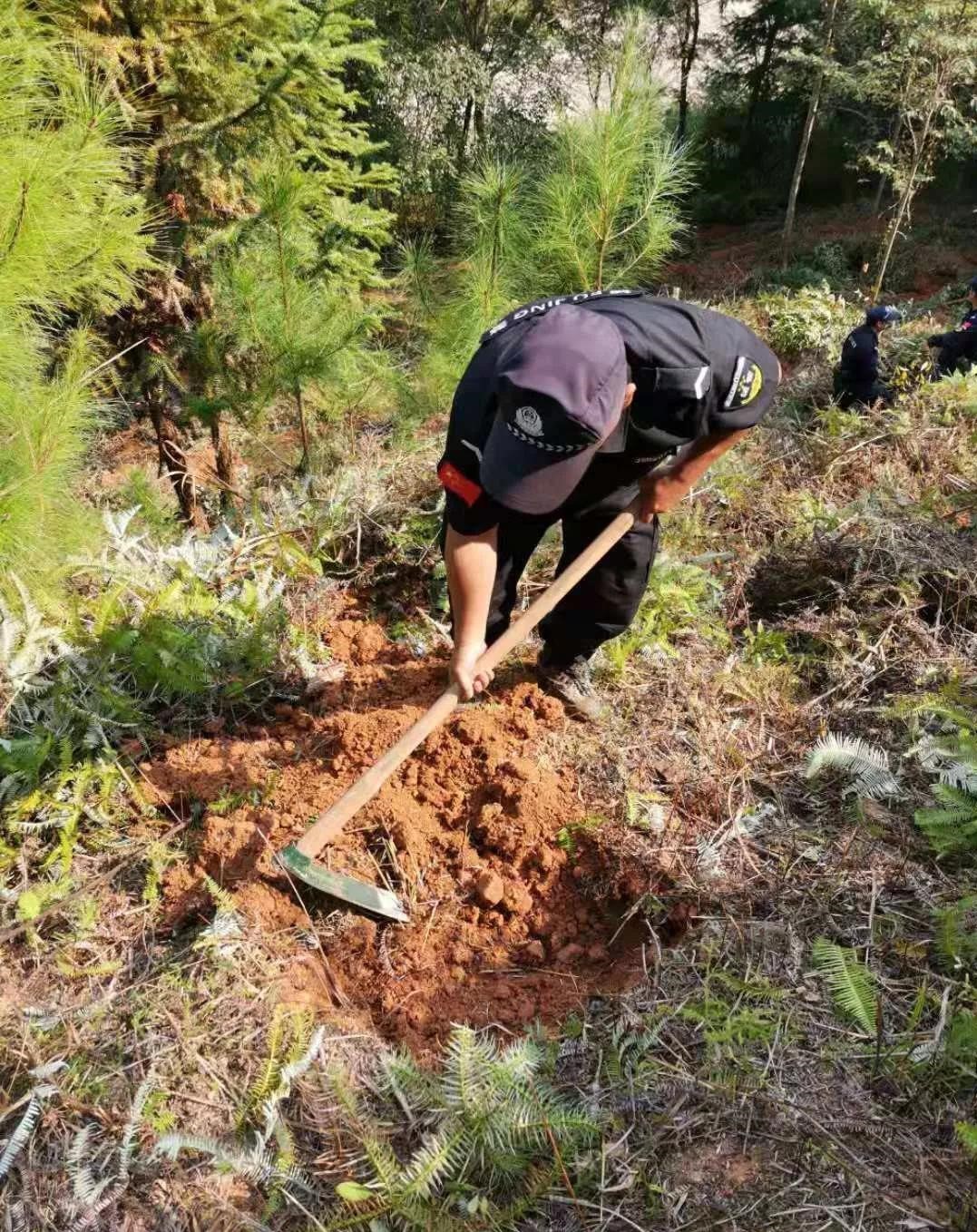 干好每一天|青山掛白我復(fù)綠，無私奉獻(xiàn)金森人——資源保護(hù)部義務(wù)突擊隊(duì)工作記實(shí)