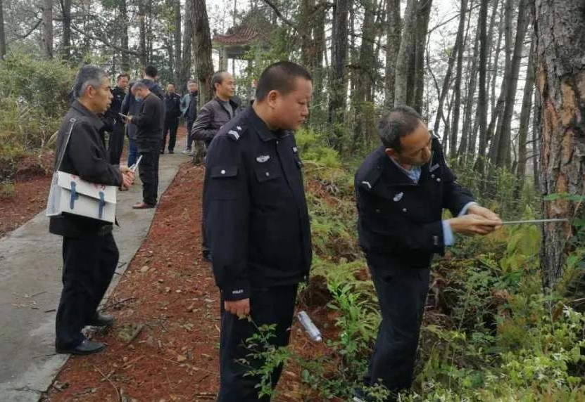 金森公司開展森林病蟲害防治培訓(xùn) 金森公司開展森林病蟲害防治培訓(xùn)