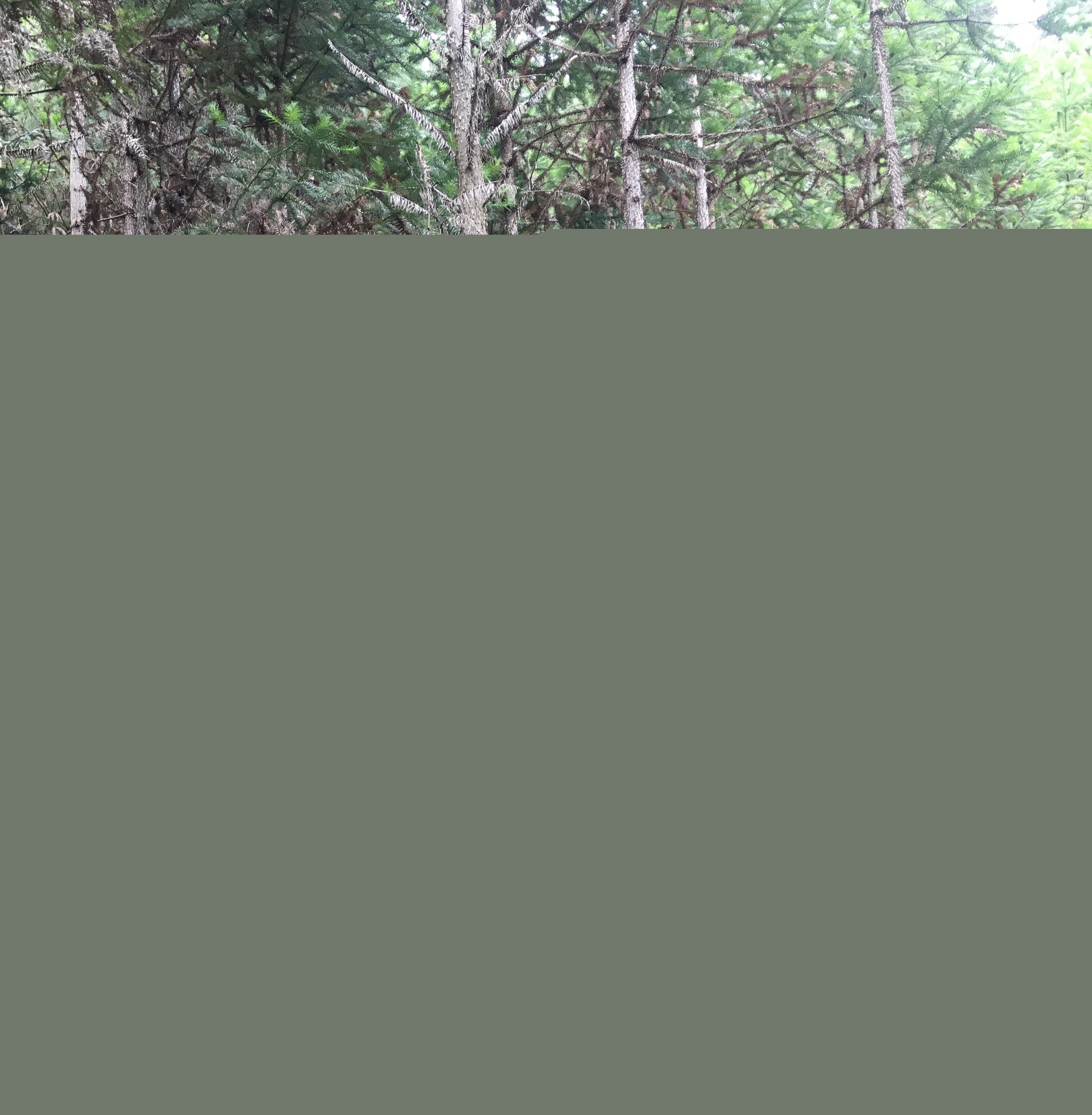 支部結(jié)對共建 促進(jìn)黨建業(yè)務(wù)“雙提升” 支部結(jié)對共建 促進(jìn)黨建業(yè)務(wù)“雙提升”