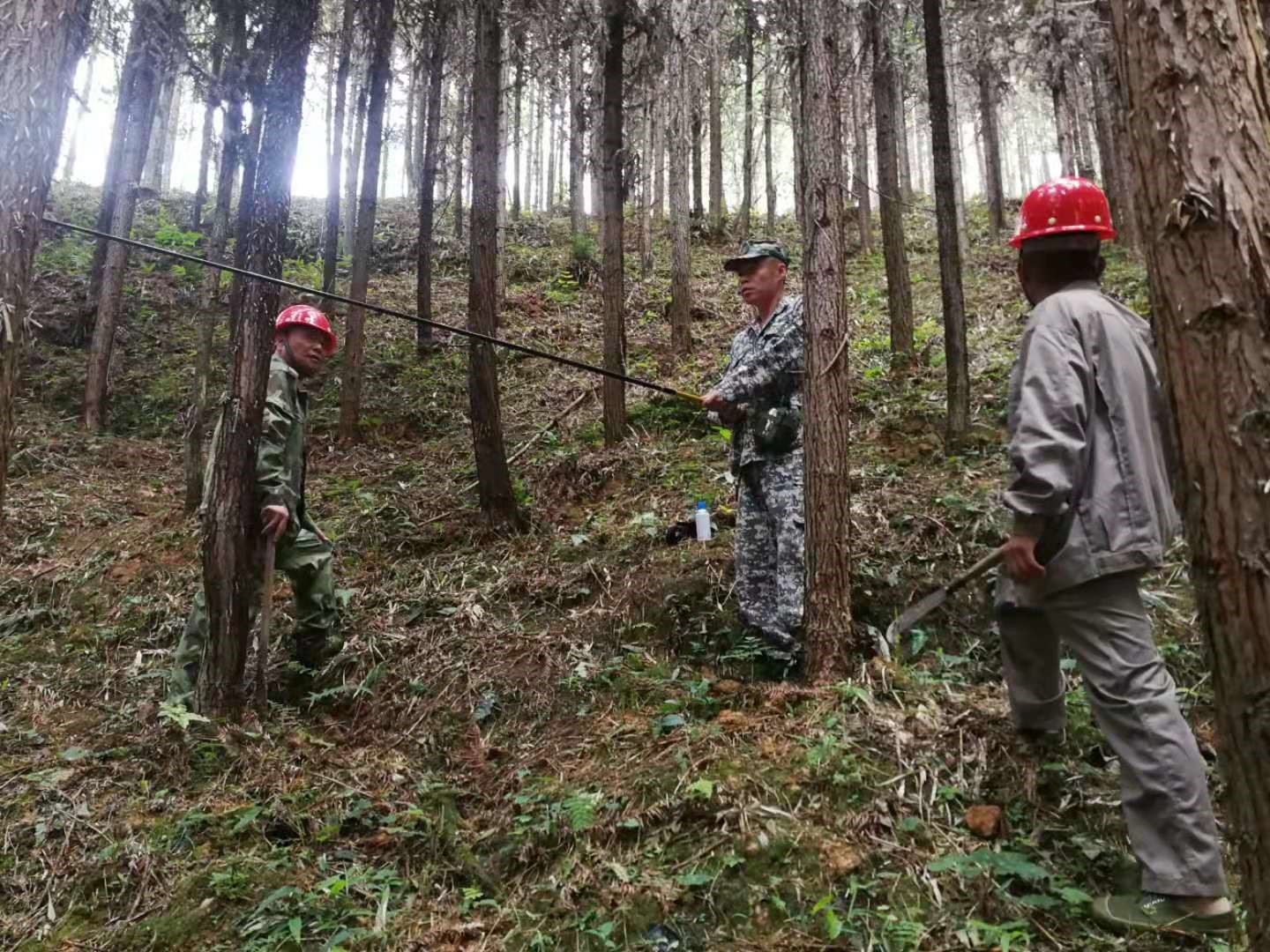 支部結(jié)對共建 促進(jìn)黨建業(yè)務(wù)“雙提升” 支部結(jié)對共建 促進(jìn)黨建業(yè)務(wù)“雙提升”
