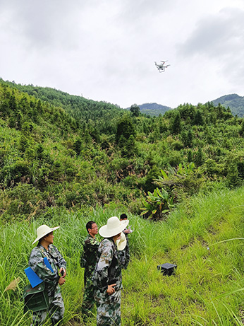 嚴(yán)把森林培育質(zhì)量關(guān)，譜寫資源培育新篇章